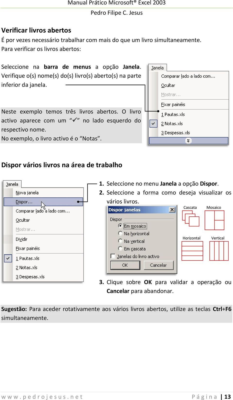 No exemplo, o livro activo é o Notas. Dispor vários livros na área de trabalho 1. Seleccione no menu Janela a opção Dispor. 2. Seleccione a forma como deseja visualizar os vários livros.