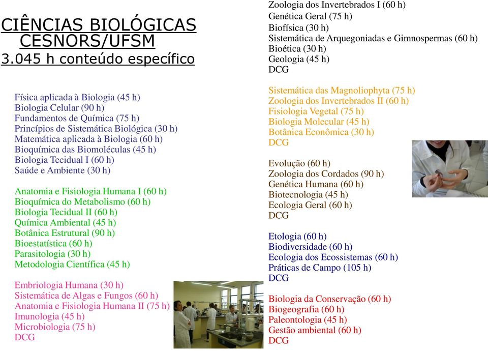 Bioquímica das Biomoléculas (45 h) Biologia Tecidual I (60 h) Saúde e Ambiente (30 h) Anatomia e Fisiologia Humana I (60 h) Bioquímica do Metabolismo (60 h) Biologia Tecidual II (60 h) Química