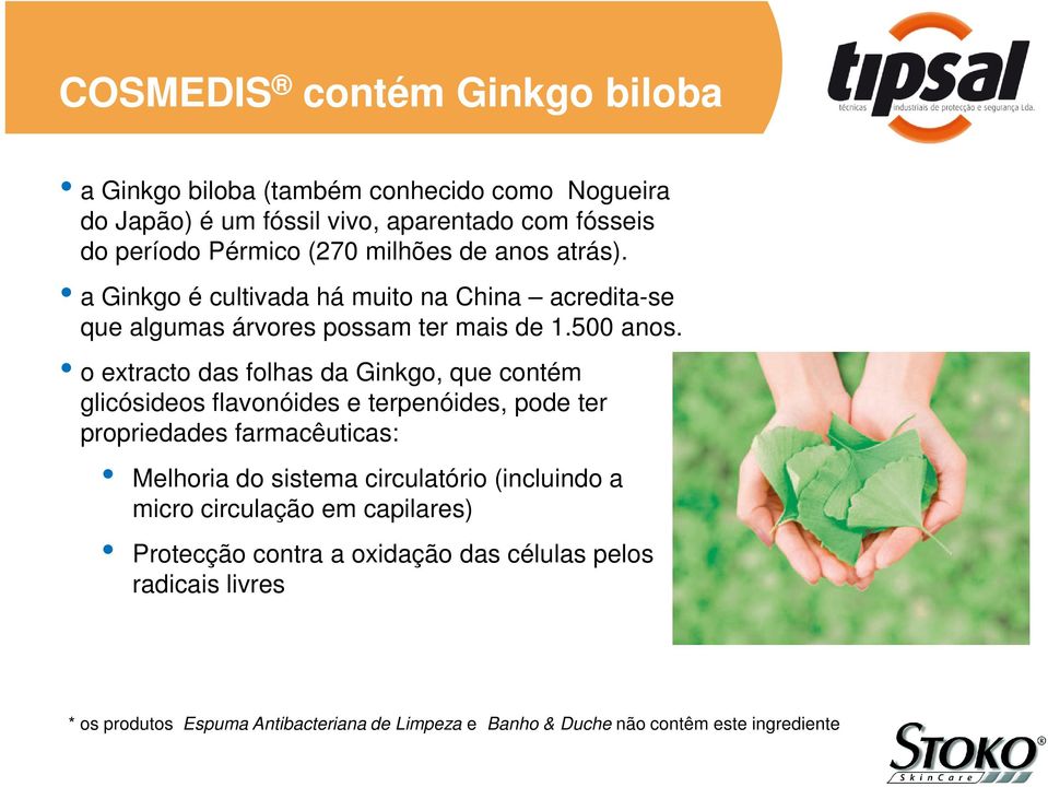 o extracto das folhas da Ginkgo, que contém glicósideos flavonóides e terpenóides, pode ter propriedades farmacêuticas: Melhoria do sistema circulatório