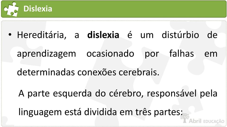 conexões cerebrais.