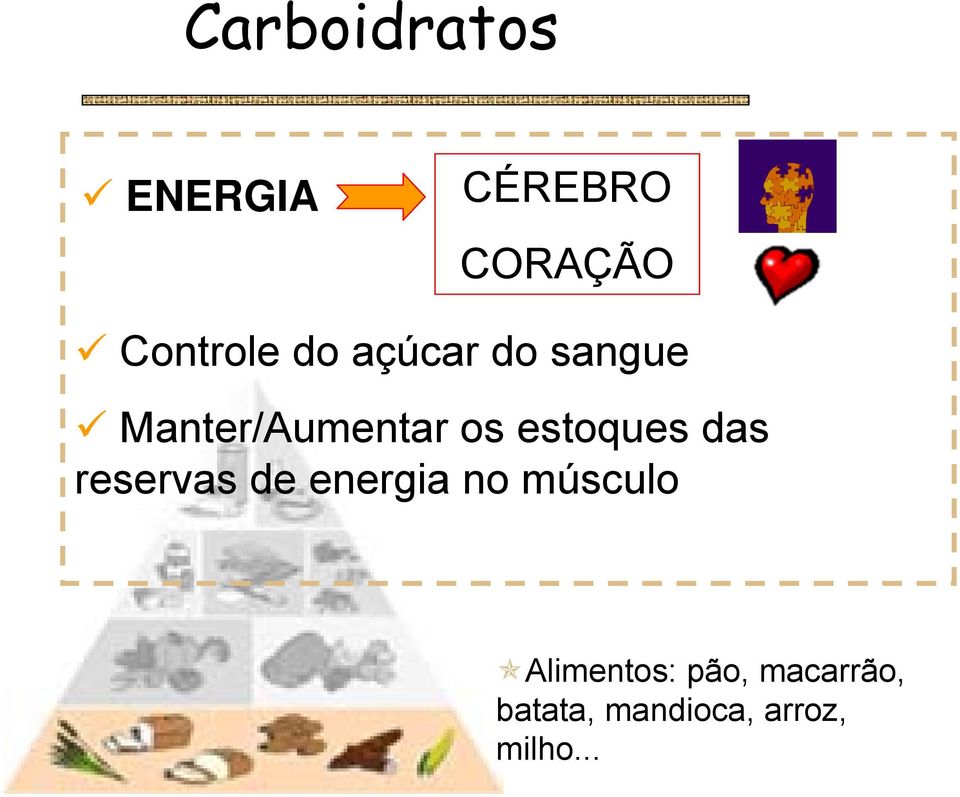 estoques das reservas de energia no músculo