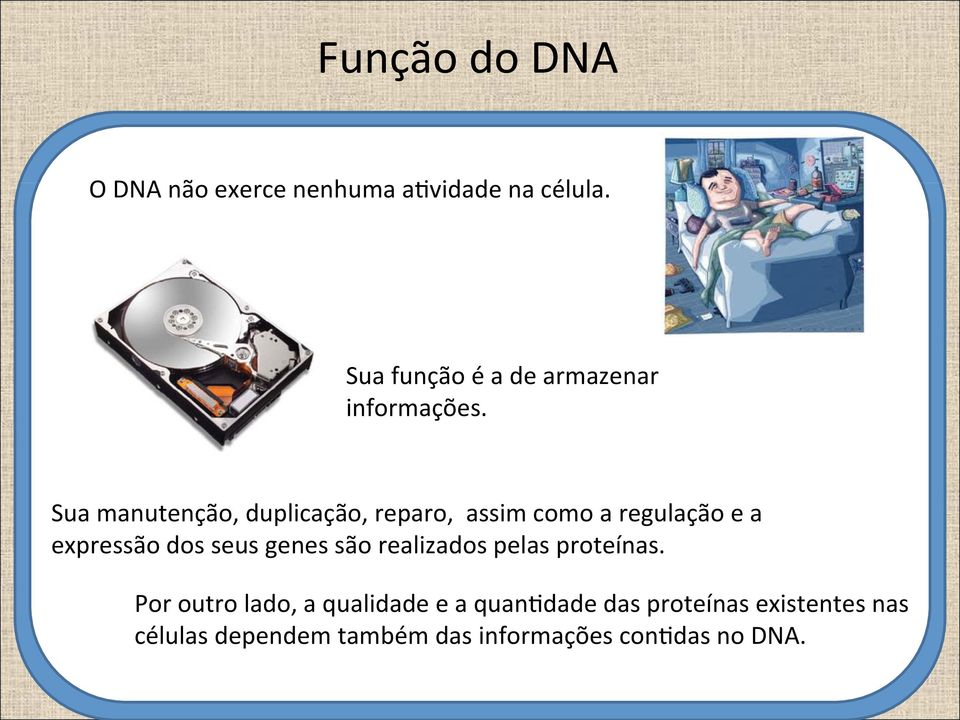 Sua manutenção, duplicação, reparo, assim como a regulação e a expressão dos seus