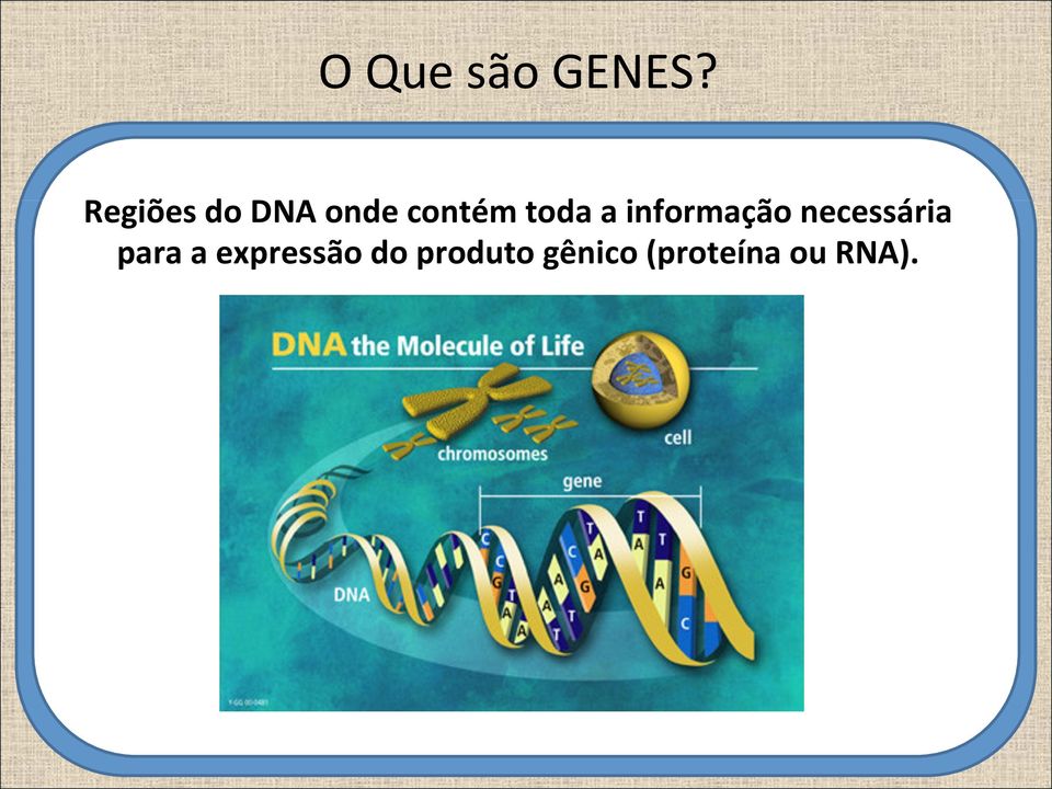 a informação necessária para a