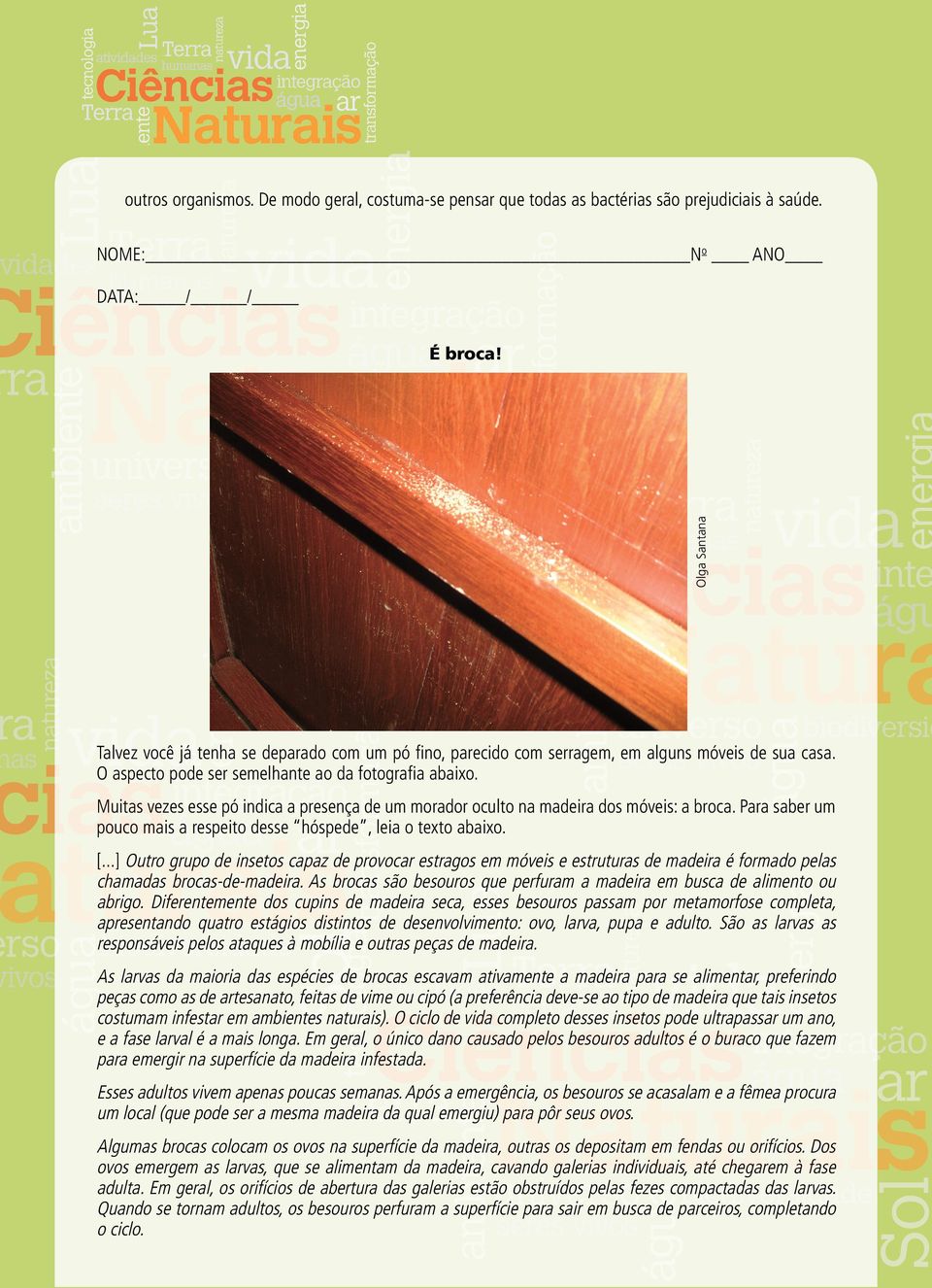 Muitas vezes esse pó indica a presença de um morador oculto na madeira dos móveis: a broca. Para saber um pouco mais a respeito desse hóspede, leia o texto abaixo. [.