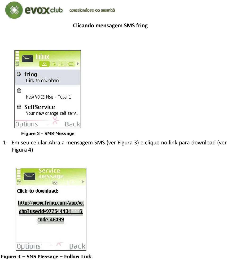 SMS (ver Figura 3) e clique no