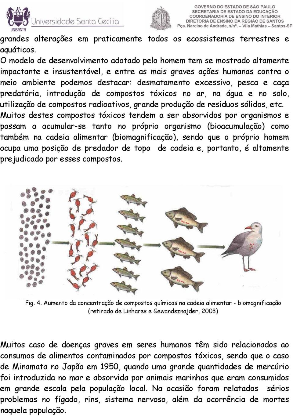 excessivo, pesca e caça predatória, introdução de compostos tóxicos no ar, na água e no solo, utilização de compostos radioativos, grande produção de resíduos sólidos, etc.