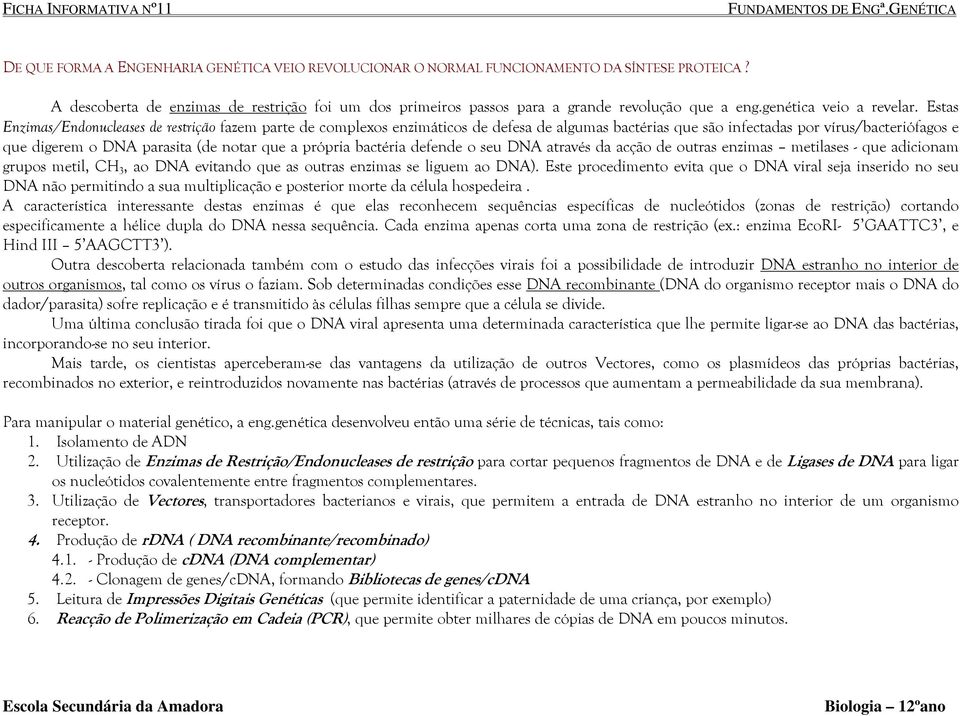 Estas Enzimas/Endonucleases de restrição fazem parte de complexos enzimáticos de defesa de algumas bactérias que são infectadas por vírus/bacteriófagos e que digerem o DNA parasita (de notar que a