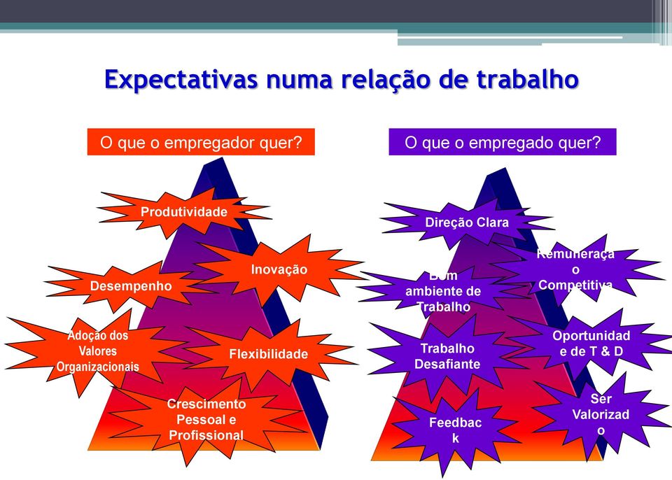 Produtividade Direção Clara Desempenho Inovação Bom ambiente de Trabalho Remuneraçã