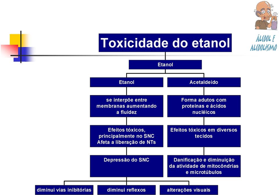 liberação de NTs Efeitos tóxicos em diversos tecidos Depressão do SNC Danificação e diminuição