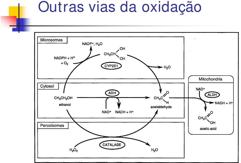 oxidação