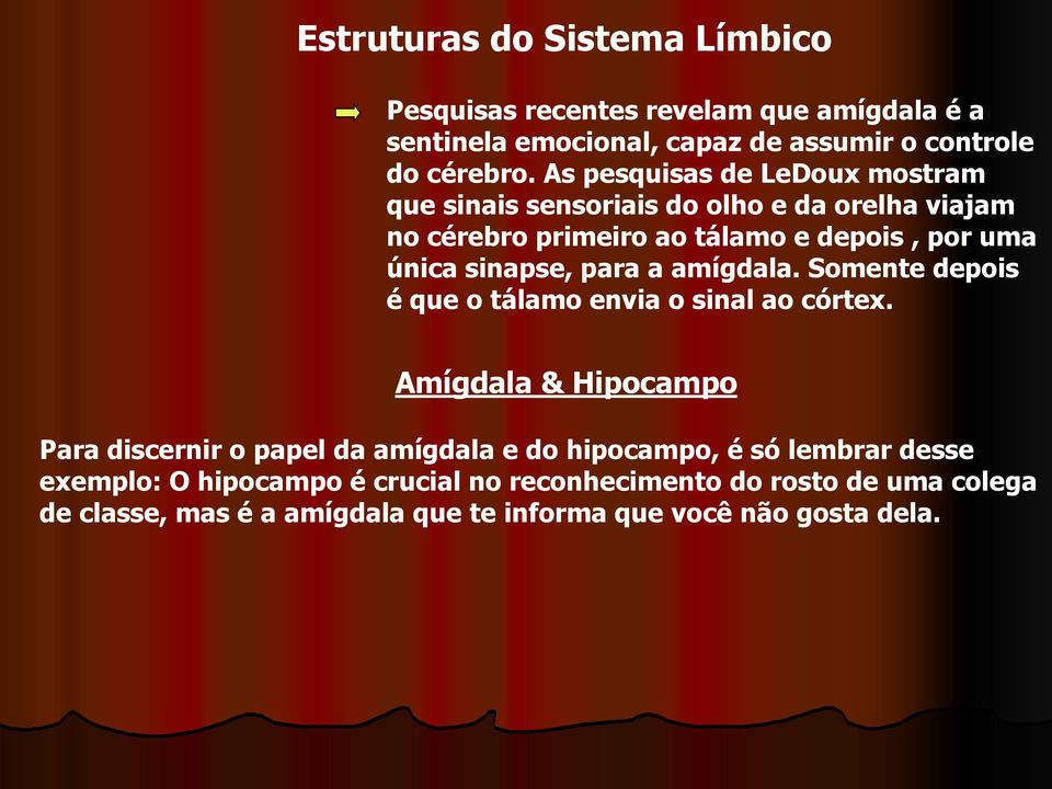 para a amígdala. Somente depois é que o tálamo envia o sinal ao córtex.