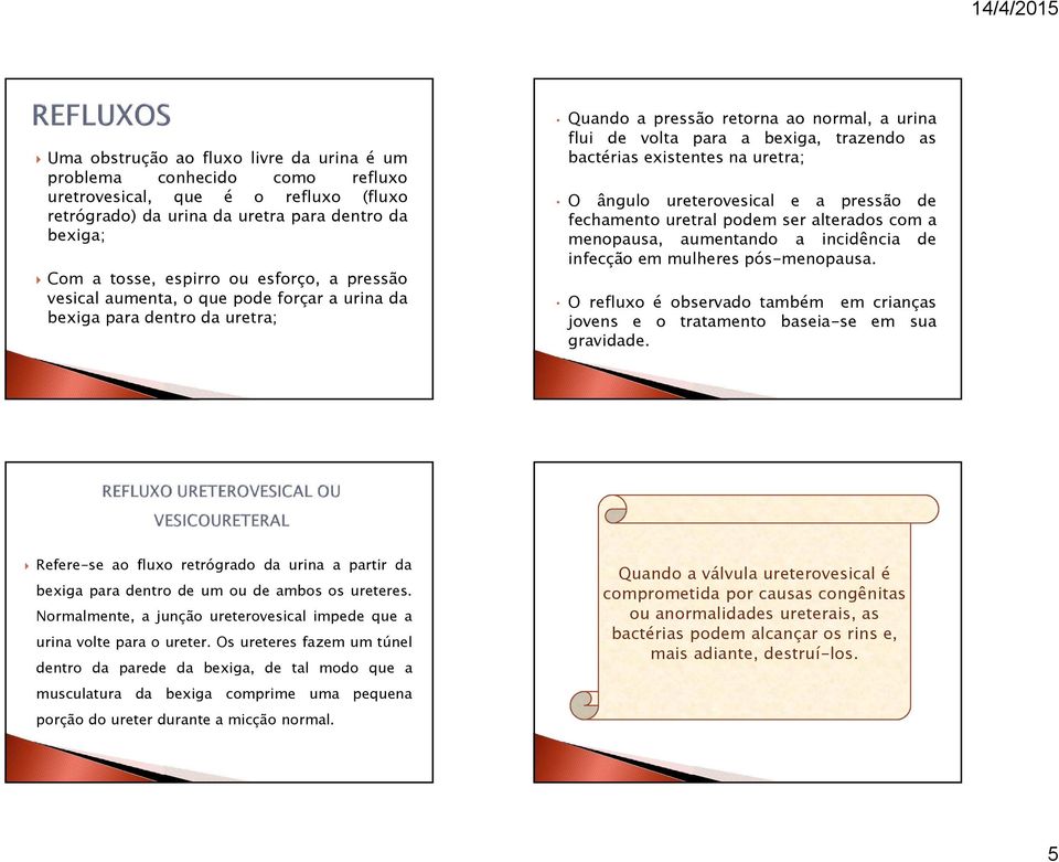 uretra; O ângulo ureterovesical e a pressão de fechamento uretral podem ser alterados com a menopausa, aumentando a incidência de infecção em mulheres pós-menopausa.