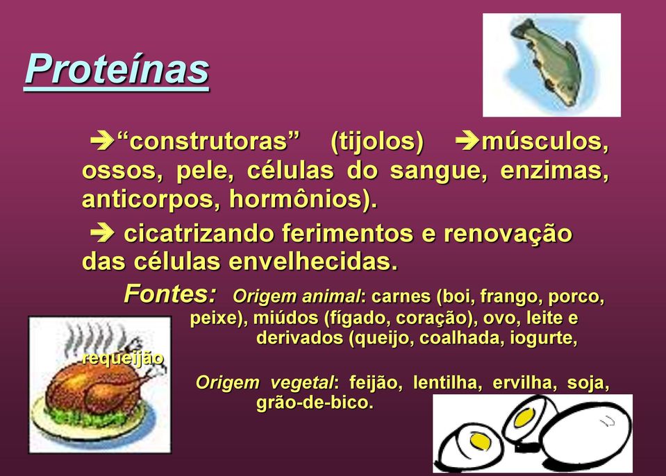 Fontes: Origem animal: carnes (boi, frango, porco, peixe), miúdos (fígado, coração), ovo,