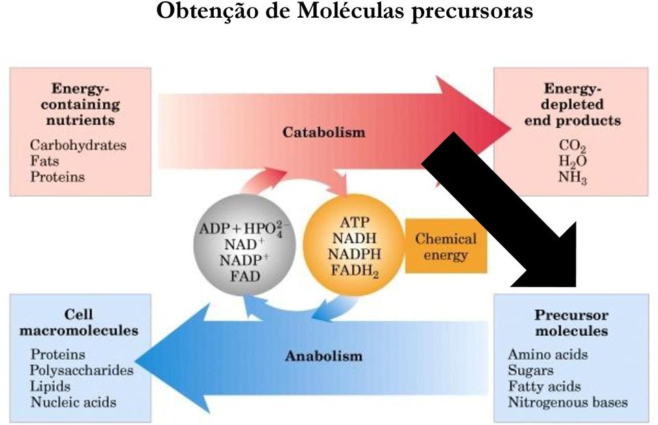 Moléculas