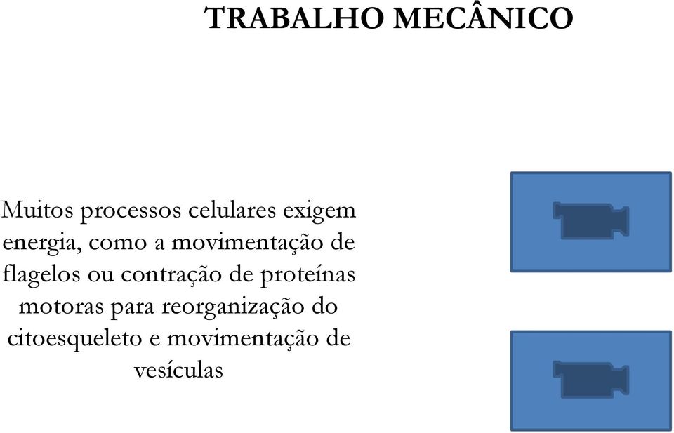 proteínas motoras para reorganização do