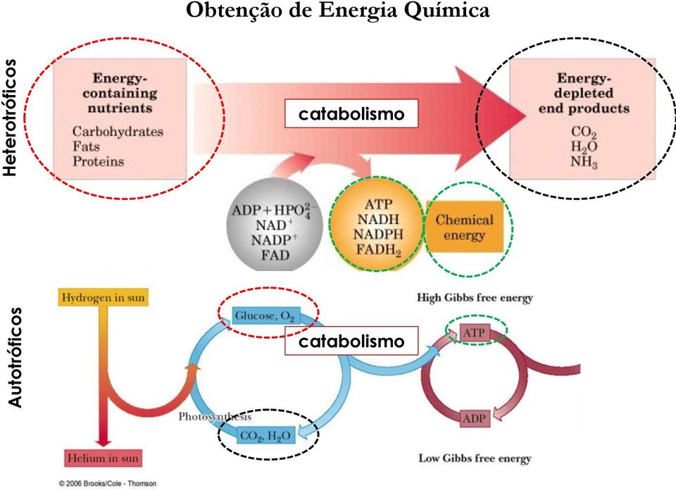 Obtenção de Energia