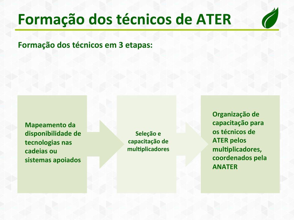 apoiados Seleção e capacitação de mulaplicadores Organização de