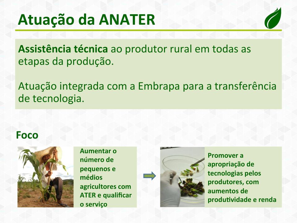 Foco Aumentar o número de pequenos e médios agricultores com ATER e qualificar o