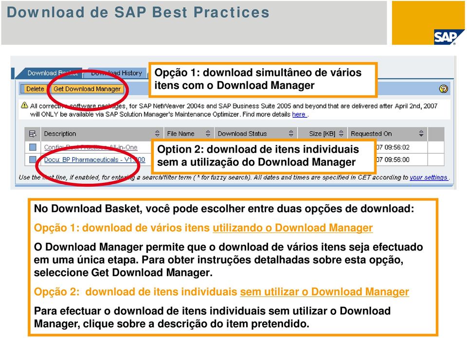 download de vários itens seja efectuado em uma única etapa. Para obter instruções detalhadas sobre esta opção, seleccione Get Download Manager.