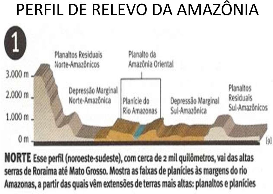 AMAZÔNIA