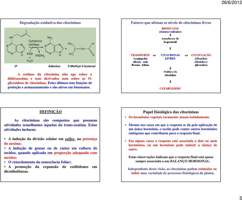 Estas atividades incluem: A indução da divisão celular em callus, na presença de auxina; A indução de gemas ou de raízes em cultura de tecidos, quando aplicada em proporção adequada com auxina; O