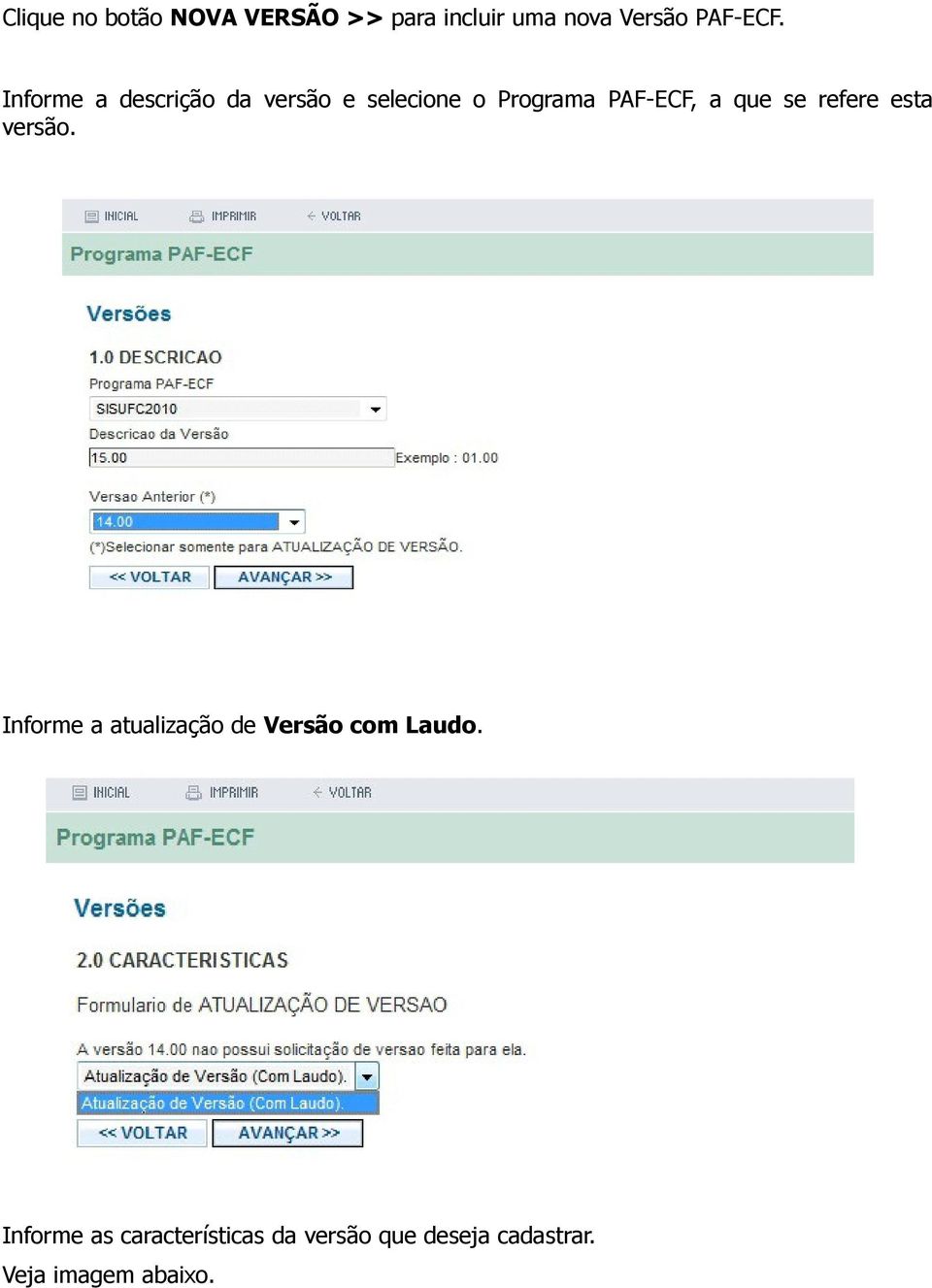 refere esta versão. Informe a atualização de Versão com Laudo.