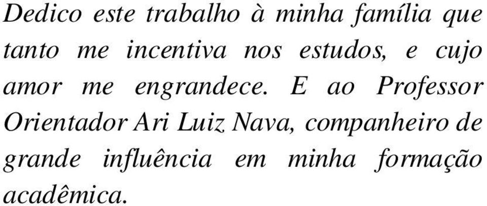 E ao Professor Orientador Ari Luiz Nava,