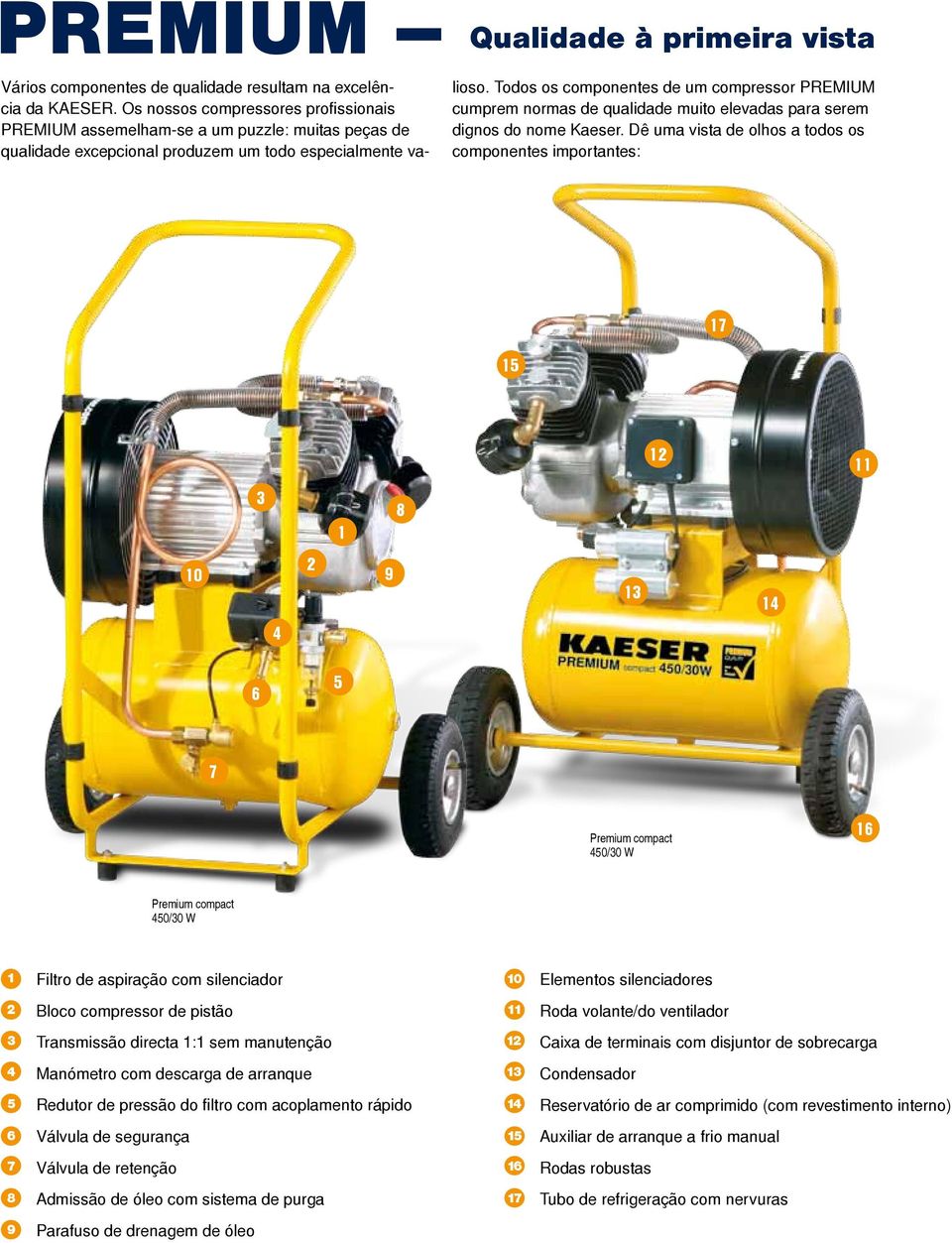 Todos os componentes de um compressor PREMIUM cumprem normas de qualidade muito elevadas para serem dignos do nome Kaeser.