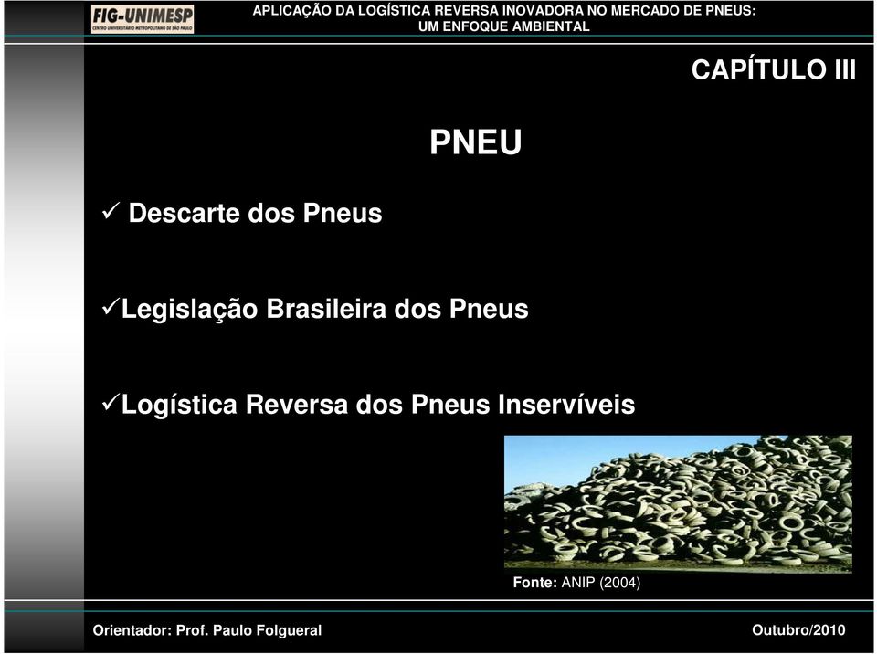 CAPÍTULO III Legislação Brasileira dos Pneus