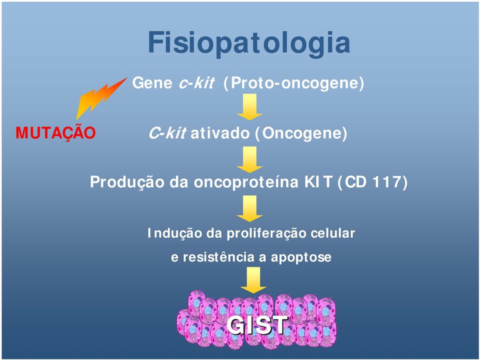 da oncoproteína KIT (CD 117) Indução da