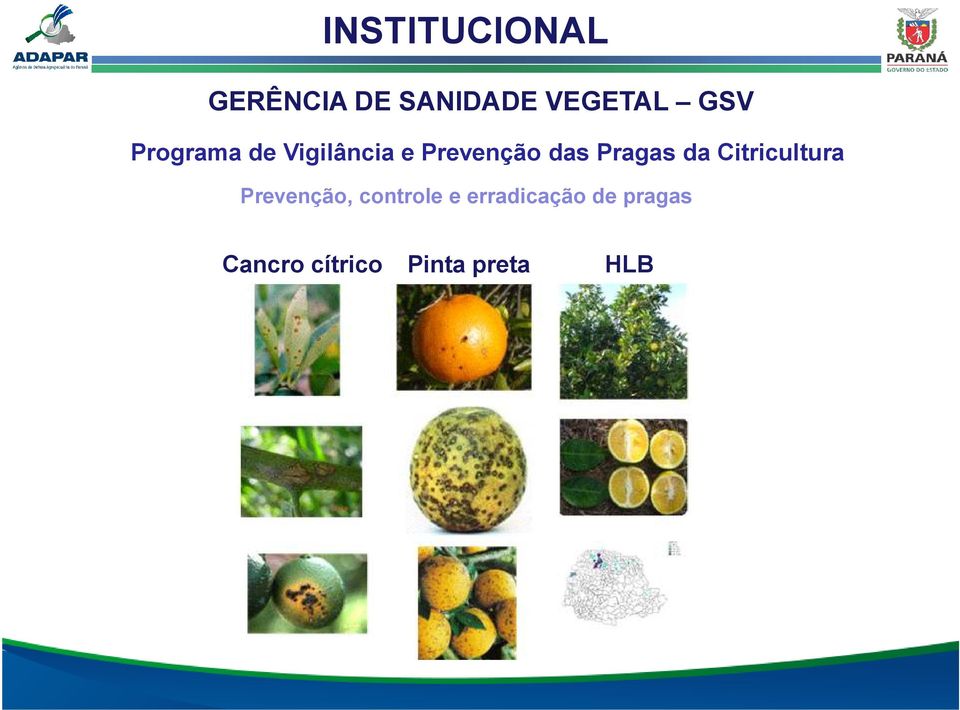 Citricultura Prevenção, controle e