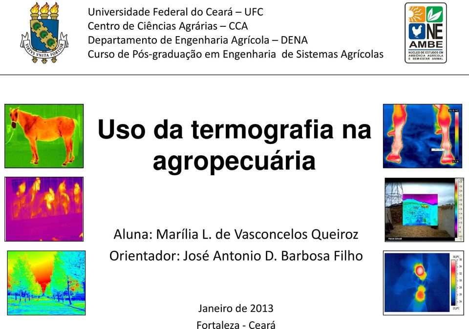 Agrícolas Uso da termografia na agropecuária Aluna: Marília L.