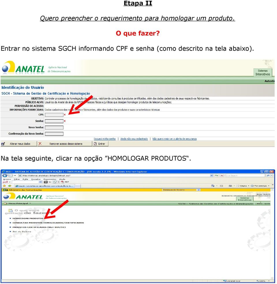 Entrar no sistema SGCH informando CPF e senha (como