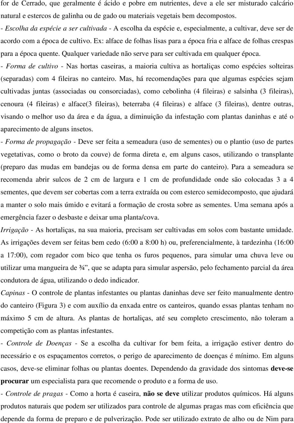 Ex: alface de folhas lisas para a época fria e alface de folhas crespas para a época quente. Qualquer variedade não serve para ser cultivada em qualquer época.