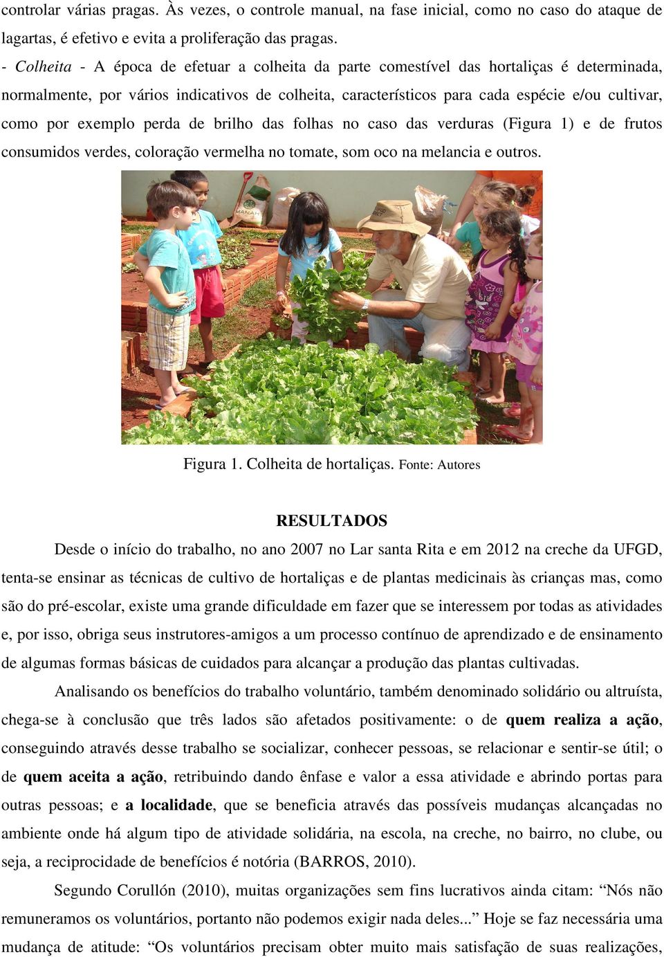 exemplo perda de brilho das folhas no caso das verduras (Figura 1) e de frutos consumidos verdes, coloração vermelha no tomate, som oco na melancia e outros. Figura 1. Colheita de hortaliças.