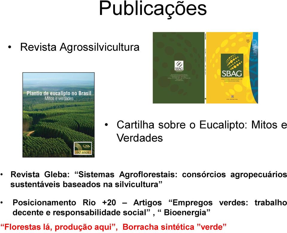 baseados na silvicultura Posicionamento Rio +20 Artigos Empregos verdes: trabalho