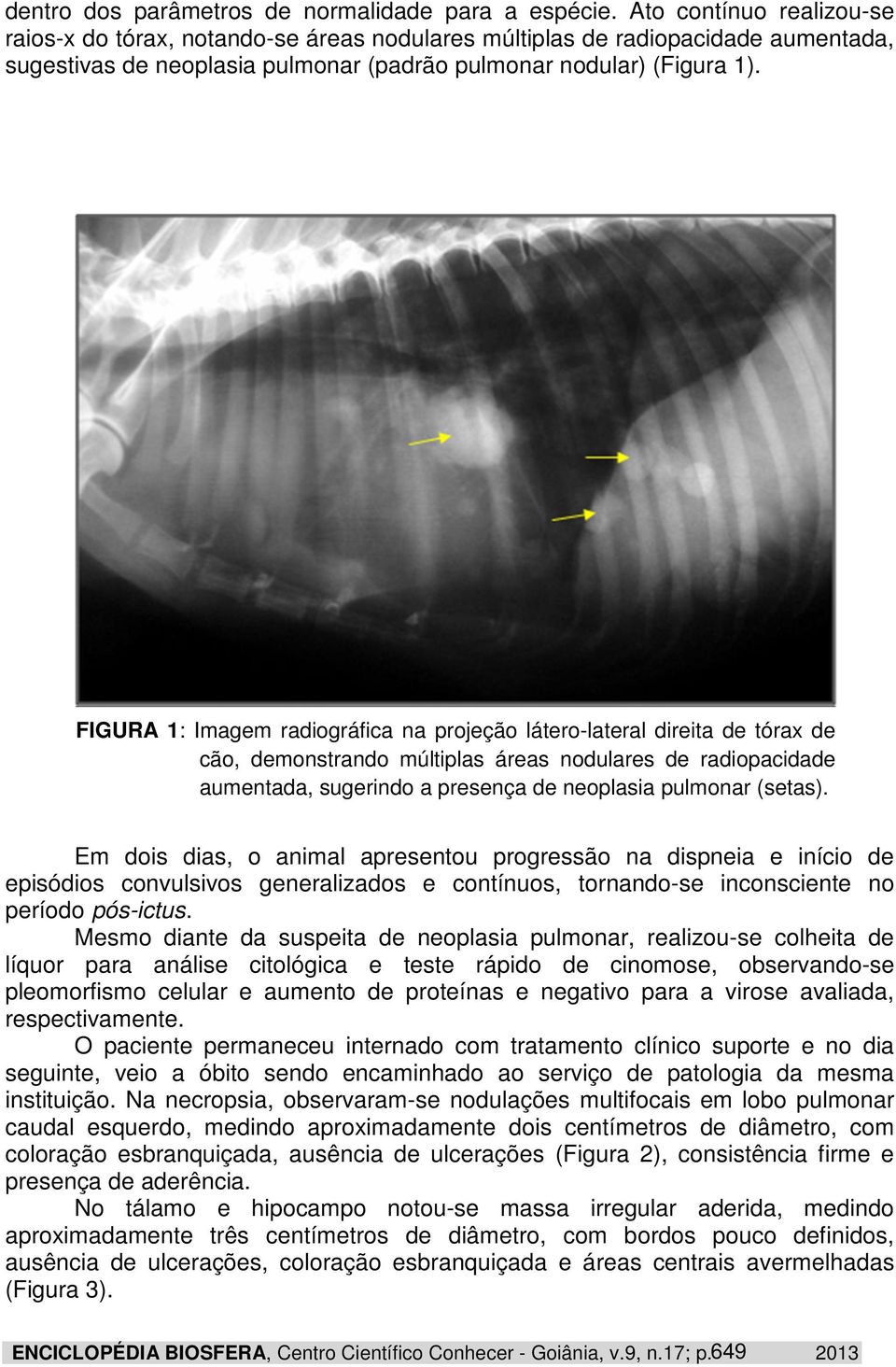 FIGURA 1: Imagem radiográfica na projeção látero-lateral direita de tórax de cão, demonstrando múltiplas áreas nodulares de radiopacidade aumentada, sugerindo a presença de neoplasia pulmonar (setas).