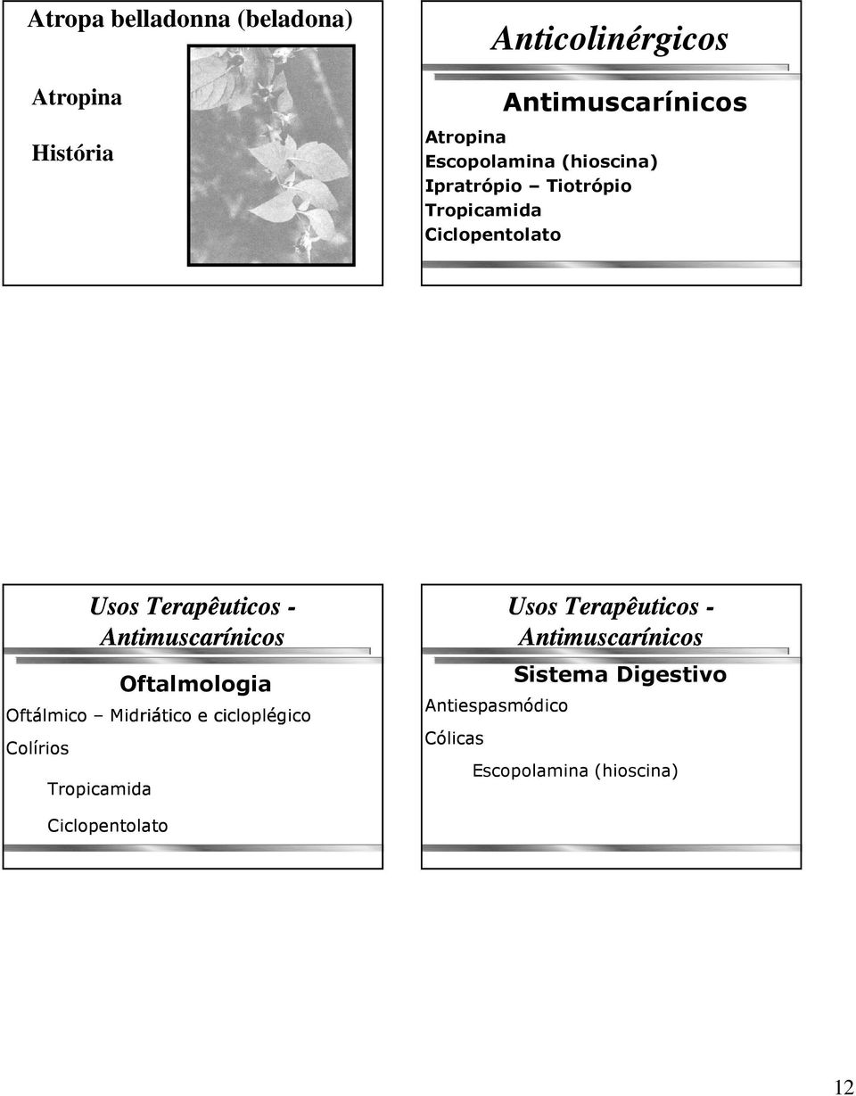 Terapêuticos - Oftalmologia Oftálmico Midriático e cicloplégico Colírios Tropicamida