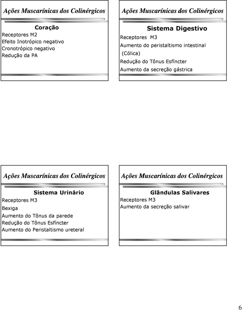 secreção gástrica Ações Muscarínicas dos Colinérgicos Ações Muscarínicas dos Colinérgicos Receptores M3 Bexiga Sistema Urinário Aumento