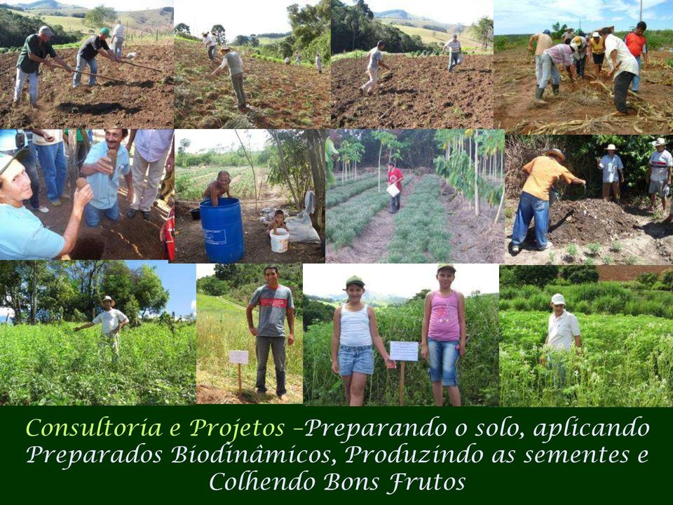 Preparados Biodinâmicos,