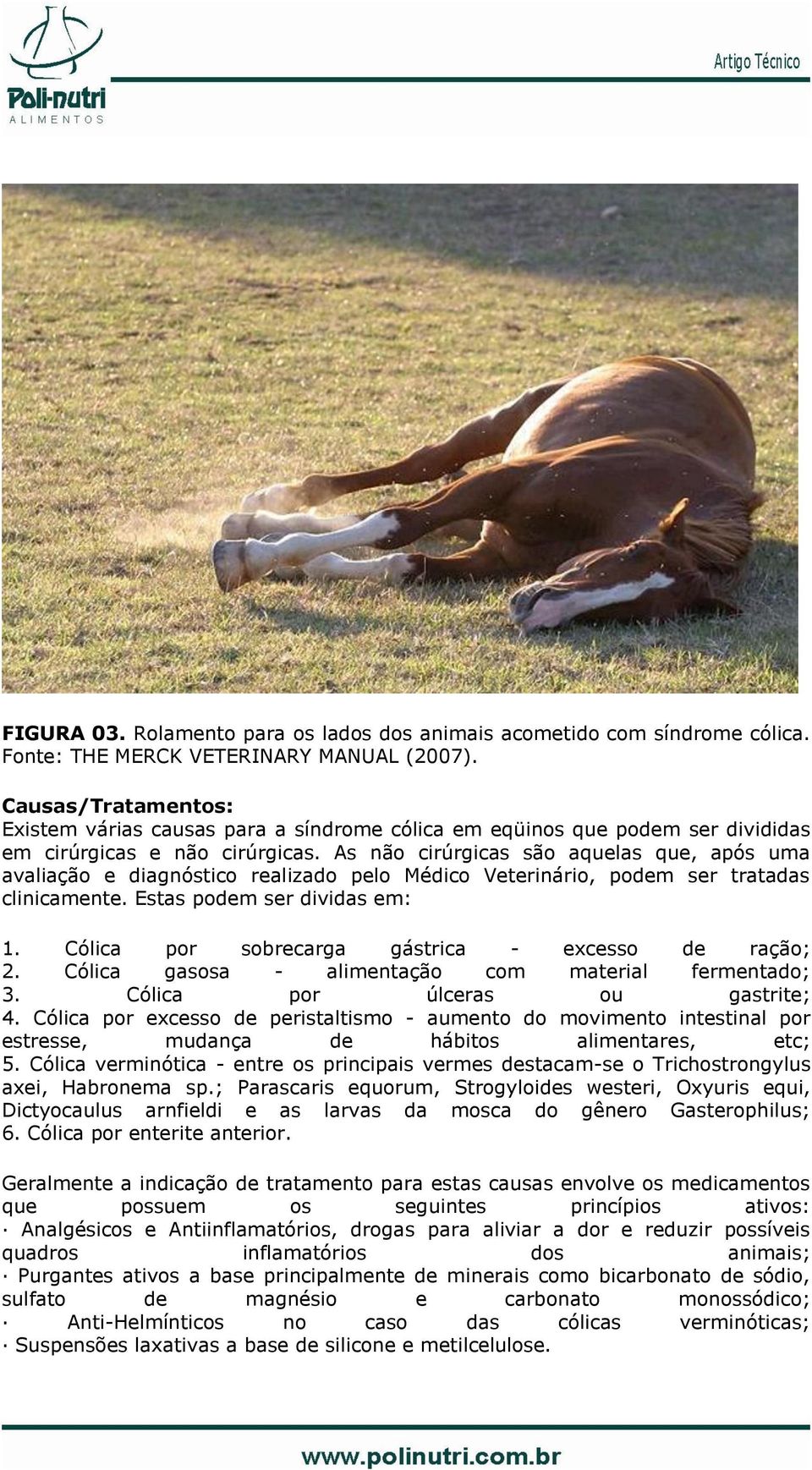 As não cirúrgicas são aquelas que, após uma avaliação e diagnóstico realizado pelo Médico Veterinário, podem ser tratadas clinicamente. Estas podem ser dividas em: 1.