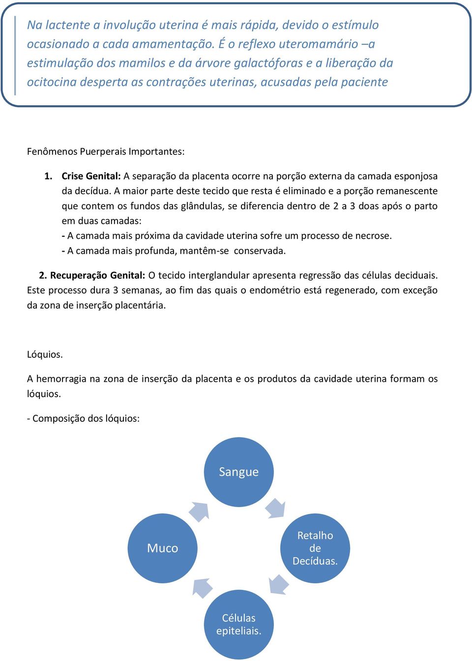 Fenômenos Puerperais Importantes: 1. Crise Genital: A separação da placenta ocorre na porção externa da camada esponjosa da decídua.