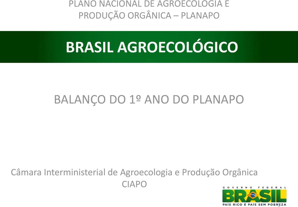 BALANÇO DO 1º ANO DO PLANAPO Câmara