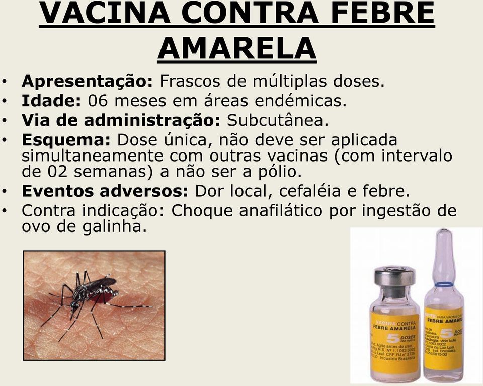 Esquema: Dose única, não deve ser aplicada simultaneamente com outras vacinas (com intervalo de