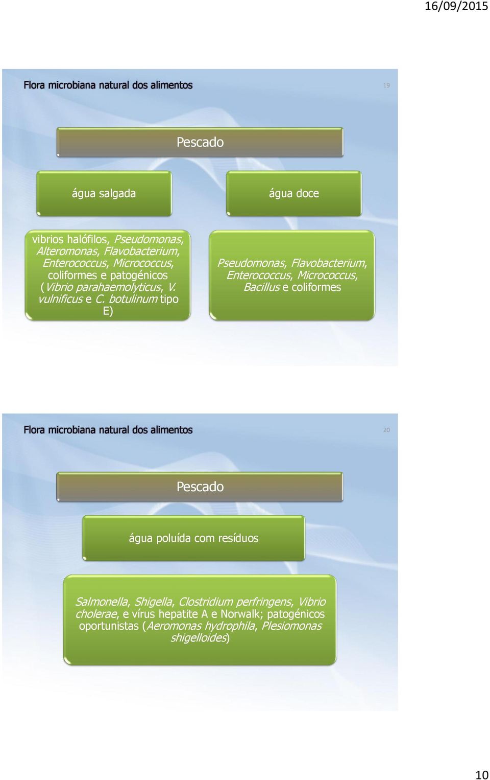 botulinum tipo E) Pseudomonas, Flavobacterium, Enterococcus, Micrococcus, Bacillus e coliformes 20 Pescado água poluída com