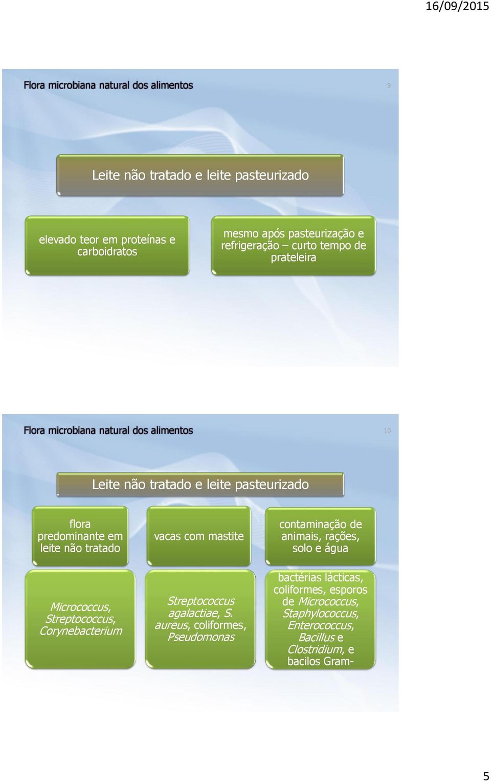 Corynebacterium vacas com mastite Streptococcus agalactiae, S.