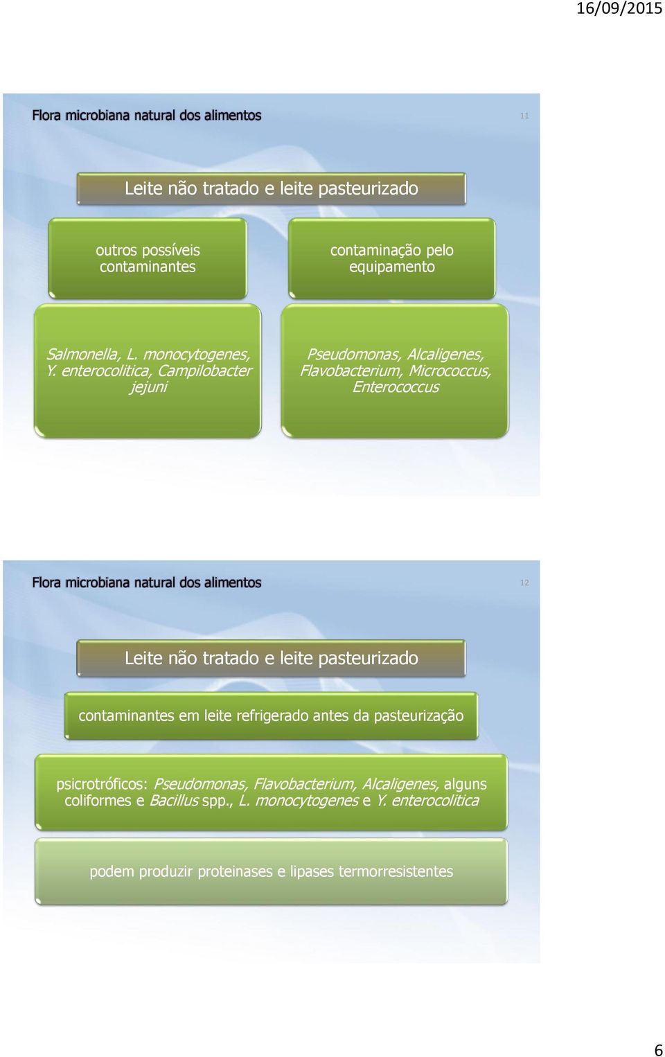 enterocolitica, Campilobacter jejuni Pseudomonas, Alcaligenes, Flavobacterium, Micrococcus, Enterococcus 12 Leite não tratado e