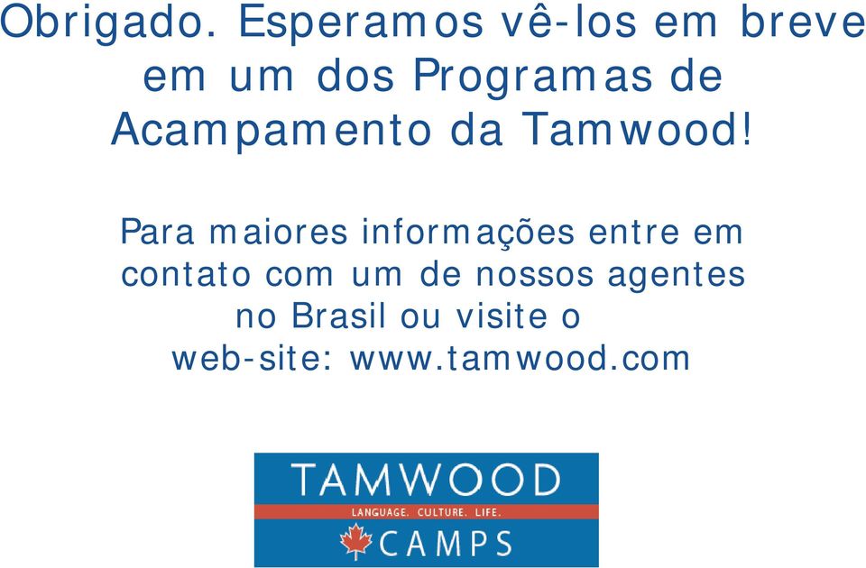 Acampamento da Tamwood!