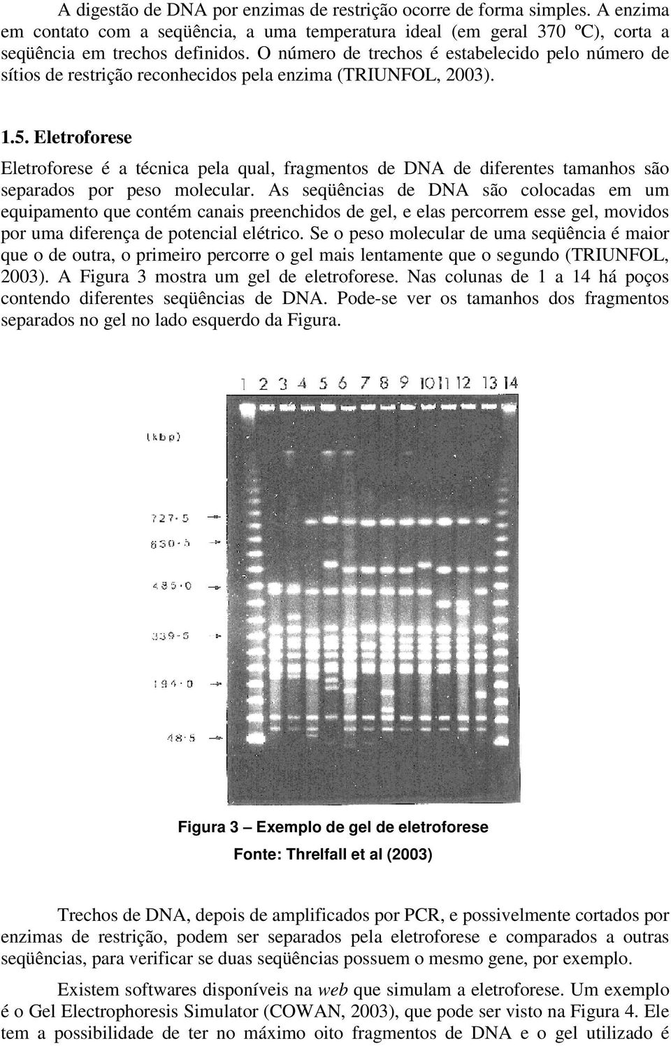 Eletroforese Eletroforese é a técnica pela qual, fragmentos de DNA de diferentes tamanhos são separados por peso molecular.