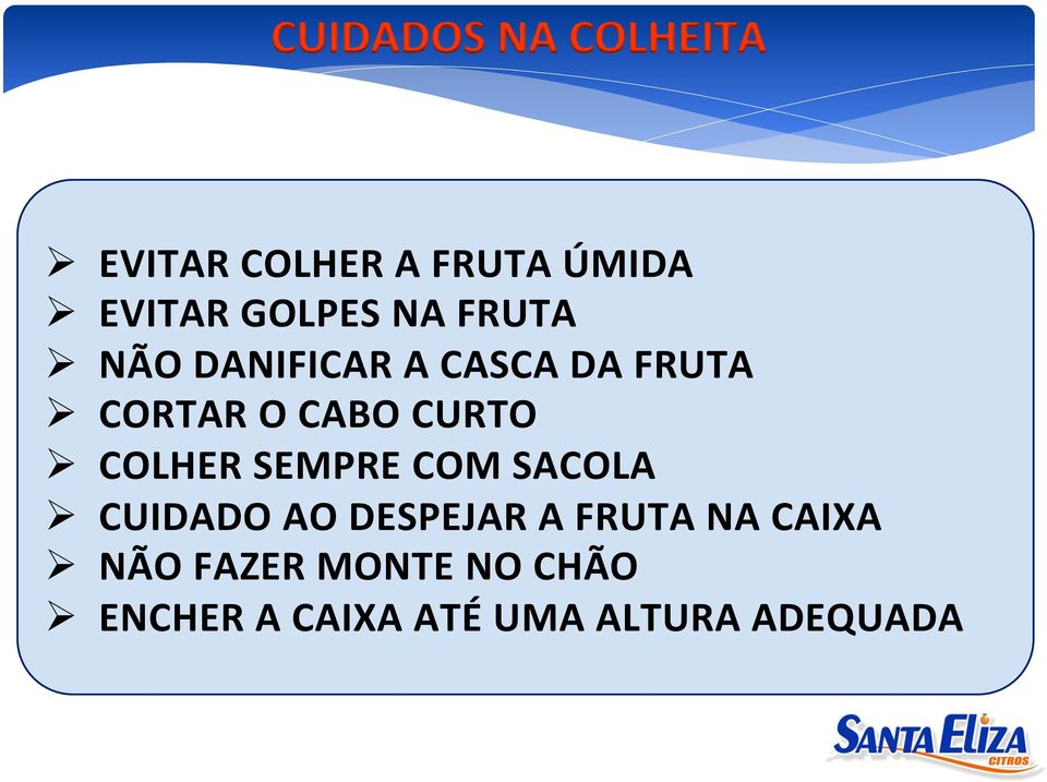 CURTO COLHER SEMPRE COM SACOLA CUIDADO AO DESPEJAR A FRUTA NA